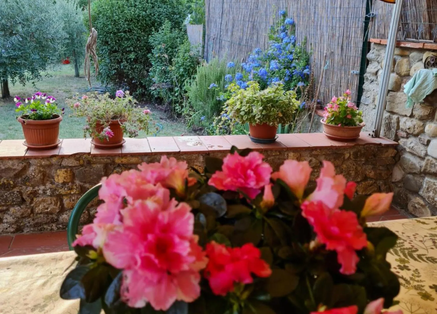 Orto Di Cornelio Apartment Cincelli